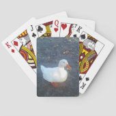 Duck Playing Cards Spielkarten (Rückseite)