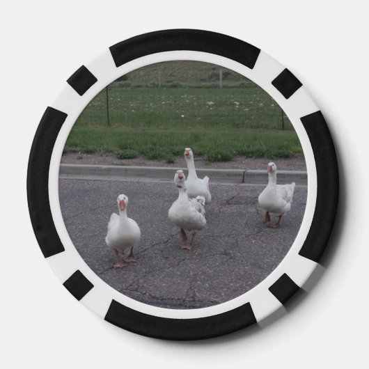 Duck Pokerchips (Rückseite)