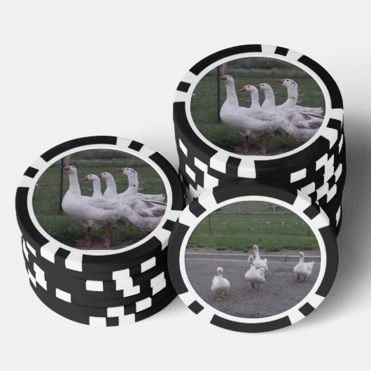 Duck Pokerchips (Stapel)