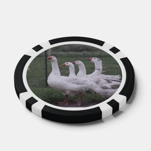 Duck Pokerchips (Einzeln)