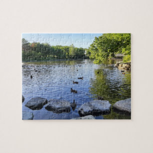 Duck Pond Puzzle