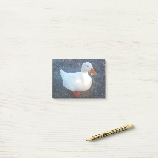 Duck Post-it Klebezettel (Auf Schreibtisch)