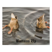 Duck Poster (Vorderseite)