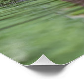 Duck Poster (Ecke)