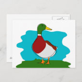 Duck Postkarte (Vorne/Hinten)