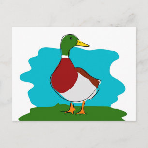 Duck Postkarte