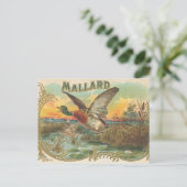 Duck Postkarte (Stehend Vorderseite)