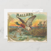 Duck Postkarte (Vorne/Hinten)