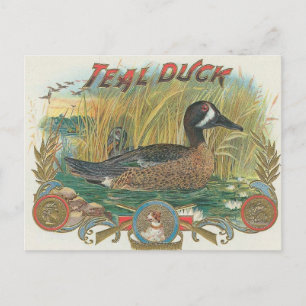 Duck Postkarte