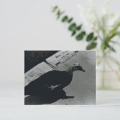 Duck Postkarte (Stehend Vorderseite)
