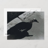 Duck Postkarte (Vorne/Hinten)