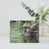 Duck Postkarte (Stehend Vorderseite)