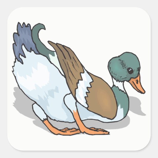 Duck Quadratischer Aufkleber (Vorderseite)
