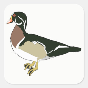 Duck Quadratischer Aufkleber