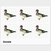 Duck Quadratischer Aufkleber (Blatt)