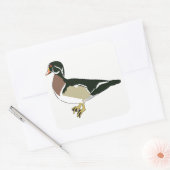 Duck Quadratischer Aufkleber (Umschlag)