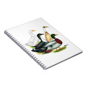 Duck Quartet Notizblock (Rechte Seite)