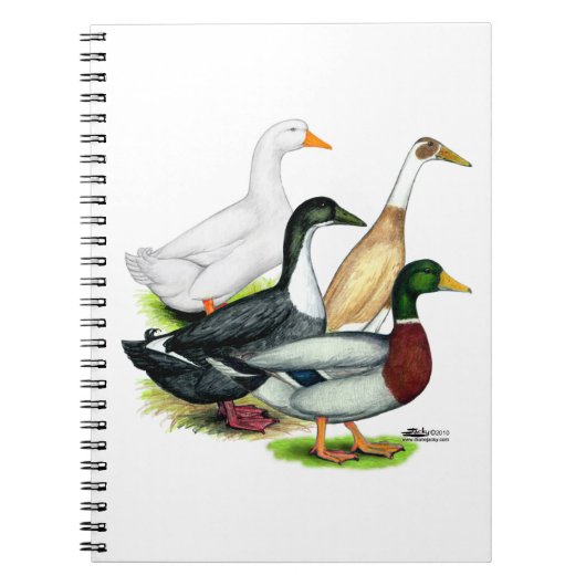 Duck Quartet Notizblock (Vorderseite)