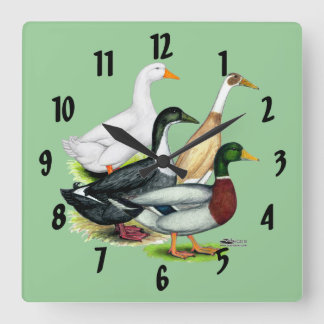 Duck Quartet Quadratische Wanduhr