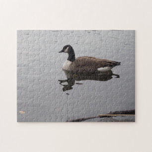 Duck Reflection Central Park New York Puzzle