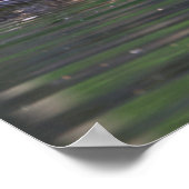 Duck Reflection Poster (Ecke)
