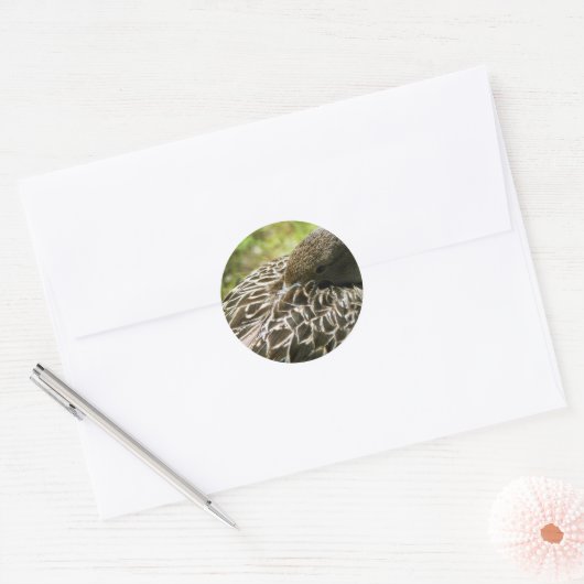 Duck Runder Aufkleber (Umschlag)