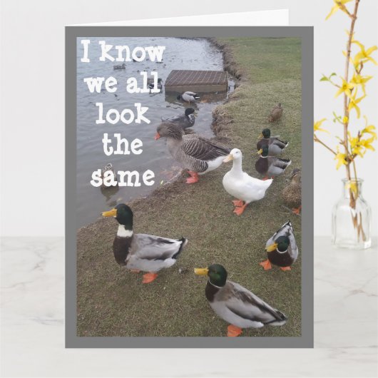 DUCK SAGT "YOU" STAND IN A CROWD!!!!! KARTE (Gelbe Blume)