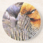 DUCK SANDSTEIN UNTERSETZER (Vorne)