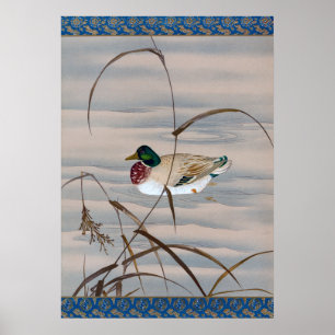 Duck Schwimmen im See Poster