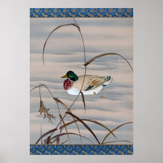 Duck Schwimmen im See Poster (Vorne)