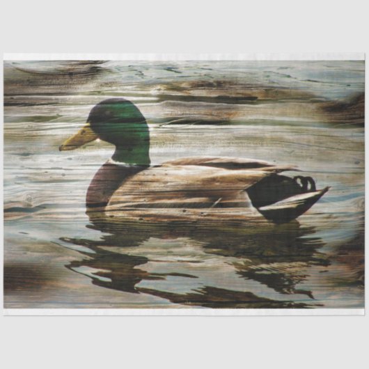 Duck Seidenpapier (Vorderseite)