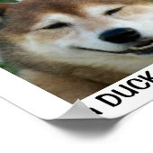 Duck Shiba Inu Dog Anatidaephobia Foto Funny Doge Poster (Ecke)