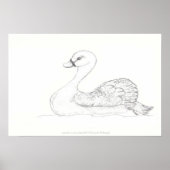 Duck Sketch Poster (Vorne)
