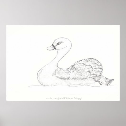Duck Sketch Poster (Vorne)