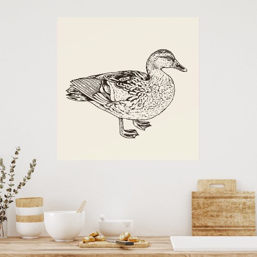 Duck Sketch Poster (Küche)