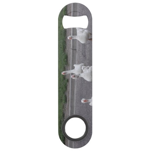 Duck Speed Flaschenöffner (Rückseite)