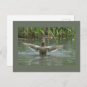 Duck Spreading Wings DIY Postkarte (Vorne/Hinten)