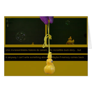 Duck Story ou une une unwahrscheinlich histoire