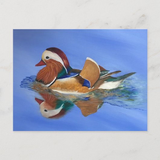 Duck Swimming JW Postkarte (Vorderseite)
