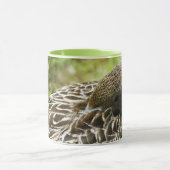 Duck Tasse (Zentrum)