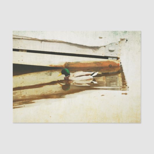 Duck-Tissue-Papier Seidenpapier (Vorderseite)