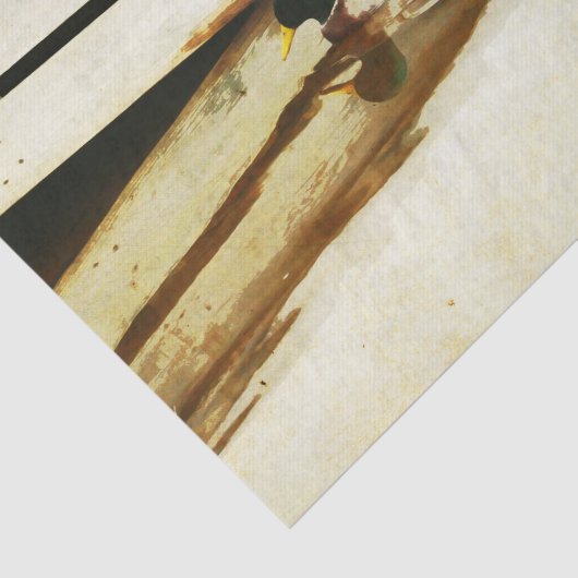 Duck-Tissue-Papier Seidenpapier (Ausschnitt)