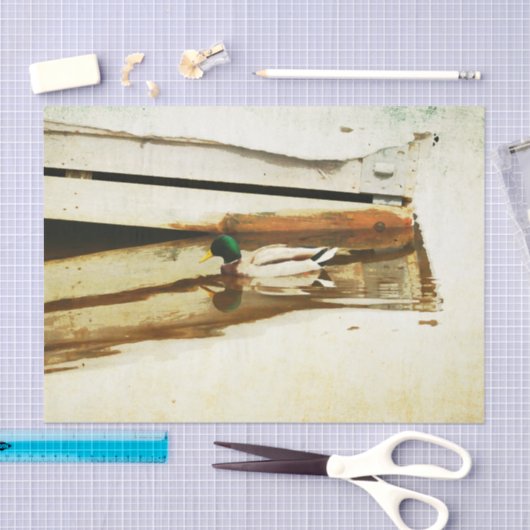 Duck-Tissue-Papier Seidenpapier (Handwerk)