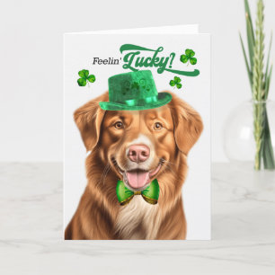 Duck Toller Dog Feelin' Lucky St Patrick's Day Feiertagskarte