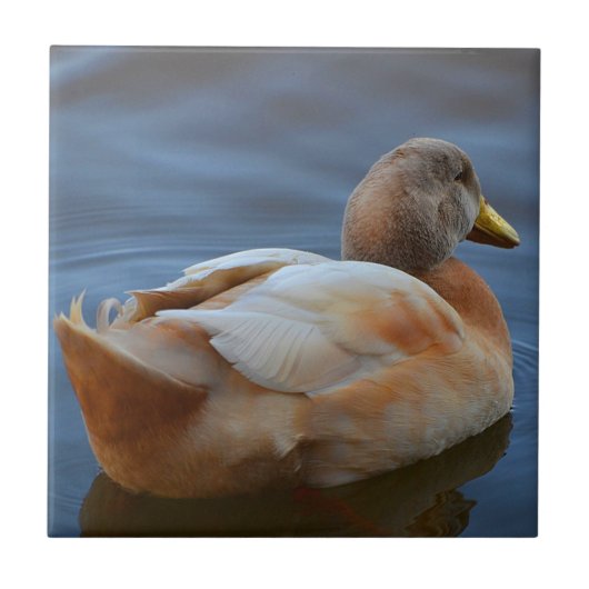 Duck Trivet Fliese (Vorderseite)