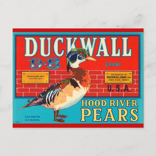Duck Wall Hood River Pears Vintage Werbung Postkarte (Vorderseite)