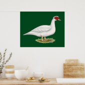 Duck White Muscovy Poster (Küche)