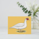 Duck White Muscovy Postkarte (Stehend Vorderseite)