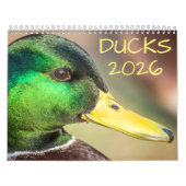 Duck Wildlife Fotografy Kalender (Titelbild)