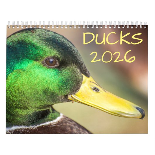 Duck Wildlife Fotografy Kalender (Titelbild)